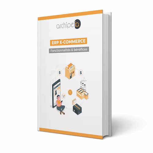 Livre blanc ERP Ecommerce