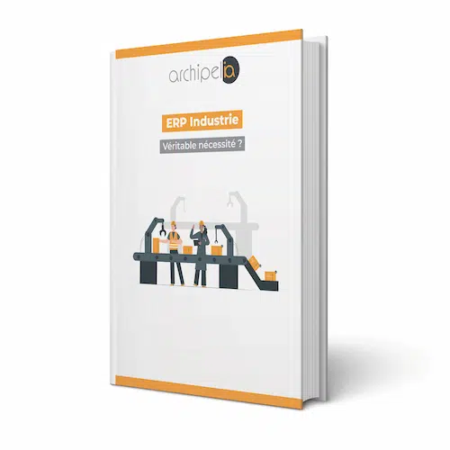 Livre blanc ERP industrie