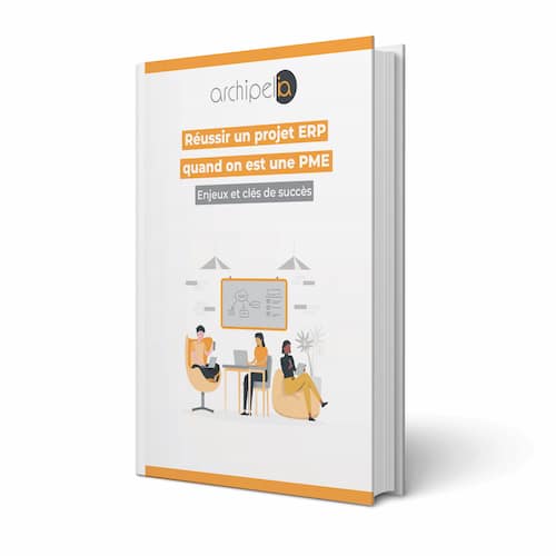 Livre blanc projet ERP