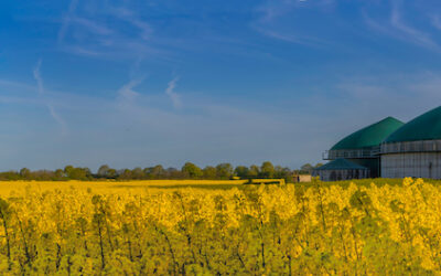 Logiciel agroalimentaire : 4 bonnes raisons de vous équiper d’un ERP