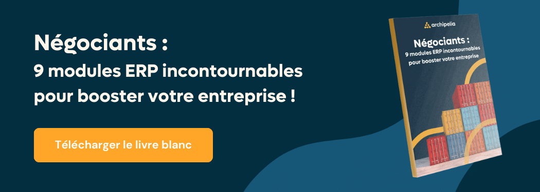 banniere livre blanc erp negoce