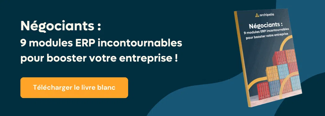 banniere livre blanc erp negoce