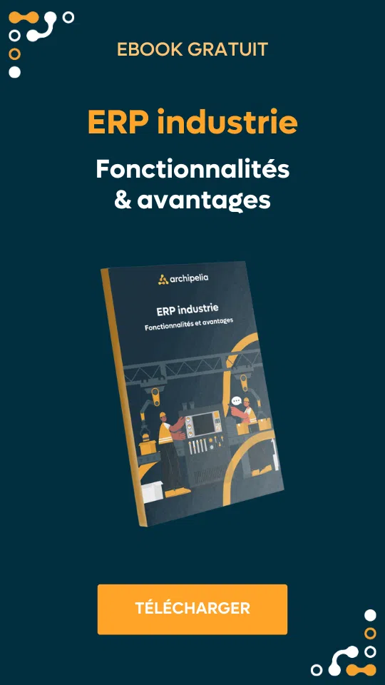 livre blanc erp industrie