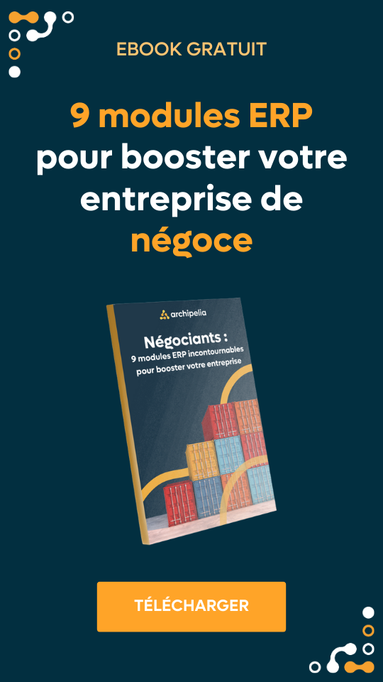banniere livre blanc erp negoce 